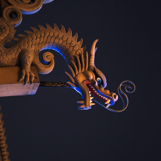 Plum Dragon